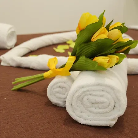 La Terra Del Sole شينيسي